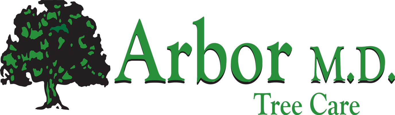 Arbor MD Tree Care