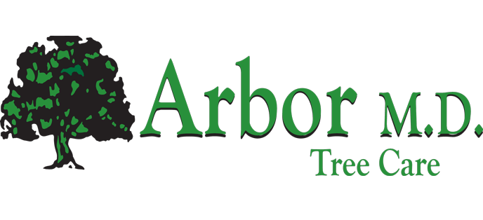 Arbor MD Tree Care